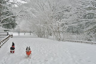 DSC_0103.jpg