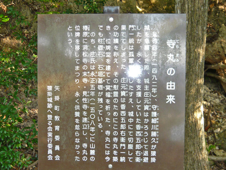 467.jpg