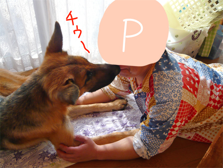 478.jpg