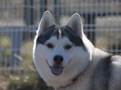 07_20140216.jpg