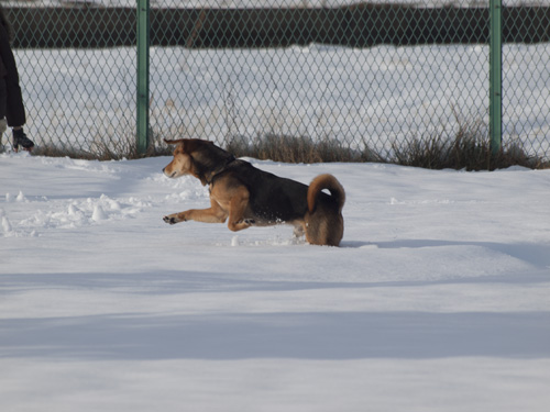 10_20140211.jpg
