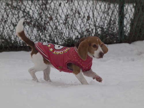 30_20140211.jpg