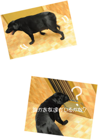 ラブ プラトンくん6
