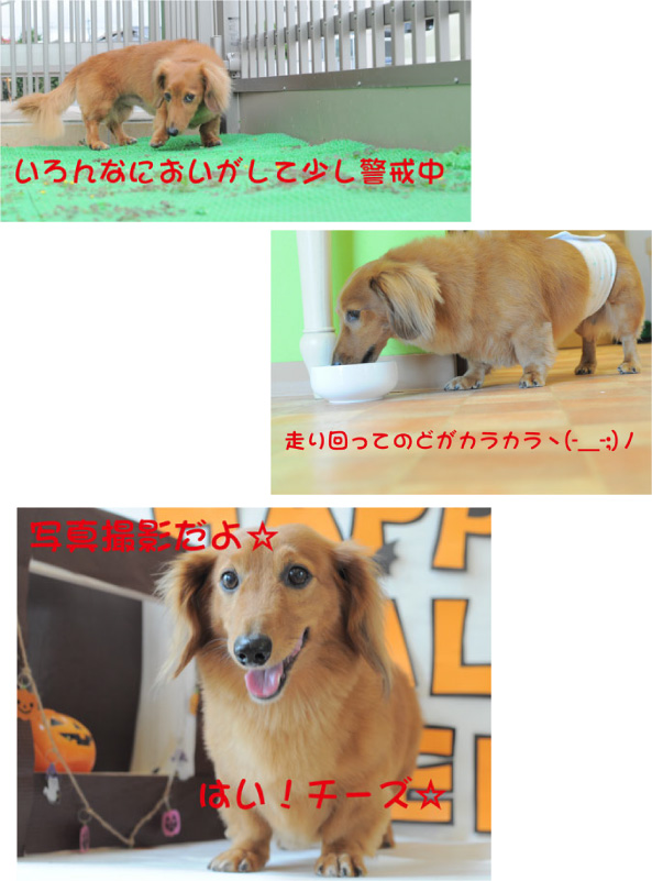 ホテルの様子2