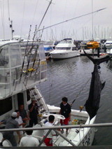 5e207e57.jpg
