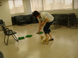 運動会