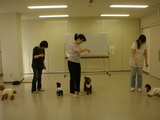 運動会