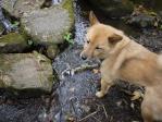このお水おいしいよ2