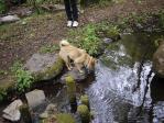 このお水おいしいよ2