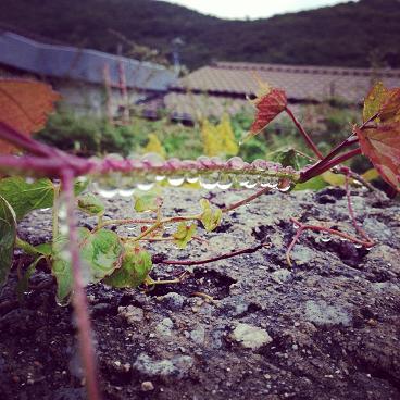 image_201312231428451f3.jpg