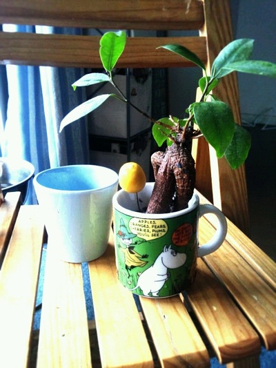 2011102482630.jpg