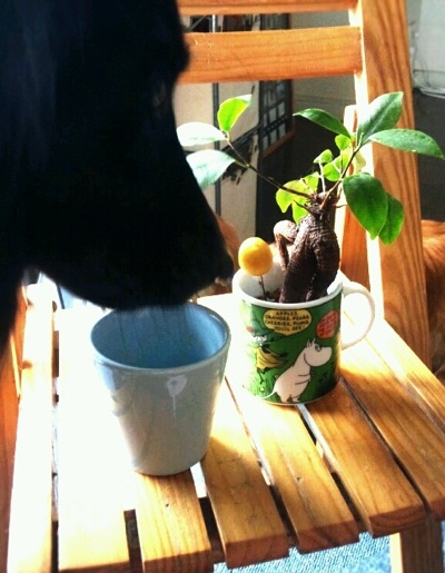 2011102482719.jpg