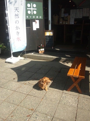 lento_20110929131250.jpg