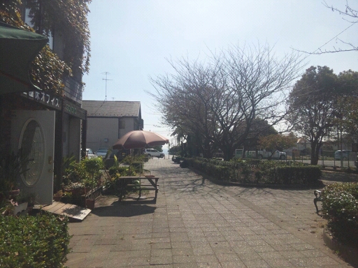 lento_20110929131318.jpg