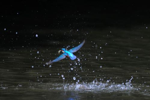 20130506_2787.jpg
