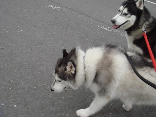 005_20120330113754.jpg