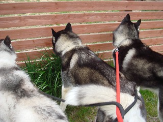008_20120330113814.jpg