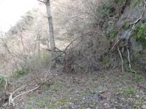 120402_27.jpg