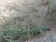 120402_30.jpg
