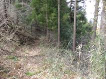 120407_067.jpg