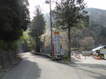 120425_015.jpg