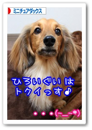 応援ありがとうございますワン!!