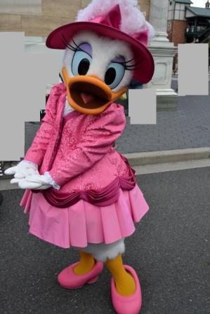 DSC_0102.jpg