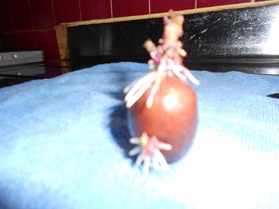 DSCN0358.jpg