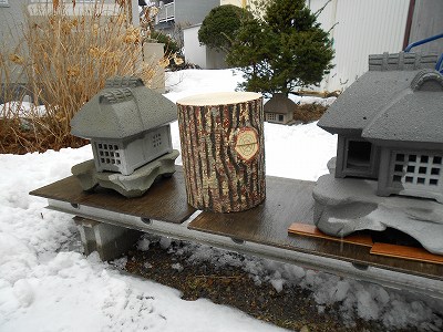 DSCN0385.jpg