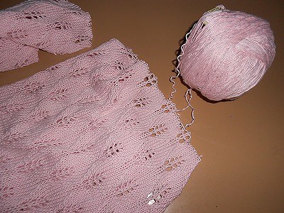 DSCN0478.jpg