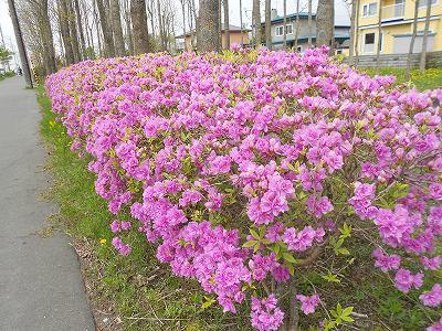 DSCN0526.jpg