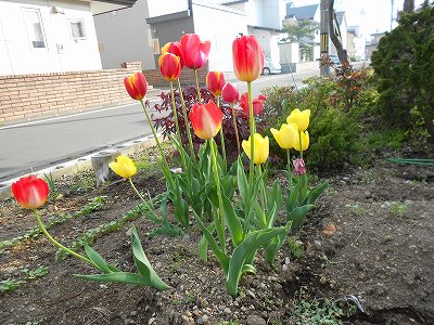 DSCN0527.jpg