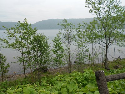 DSCN0531.jpg