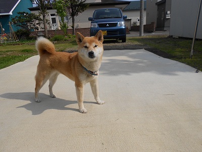 DSCN0536.jpg