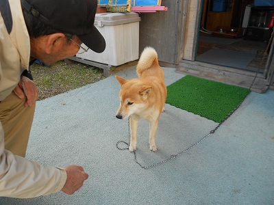 DSCN0539.jpg