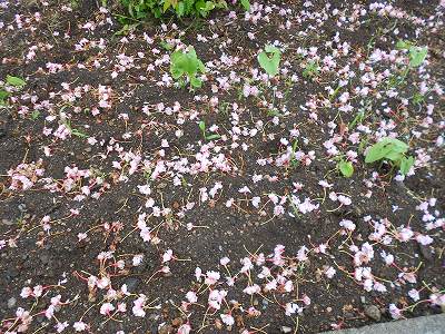 DSCN0553.jpg