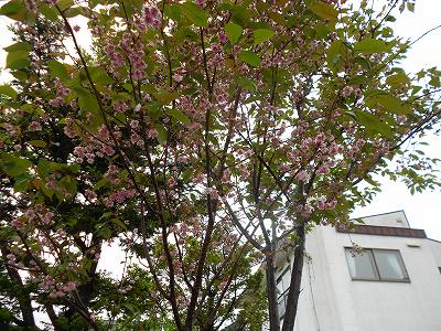 DSCN0554.jpg