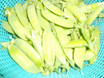 DSCN0620.jpg