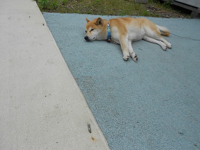 DSCN0622.jpg