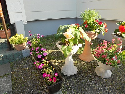 DSCN0636.jpg