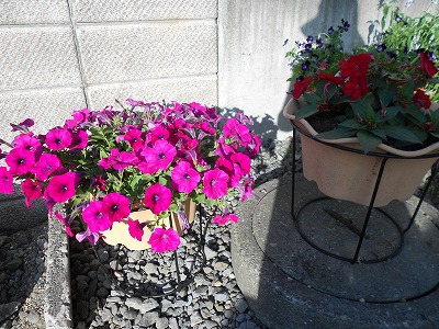 DSCN0637.jpg