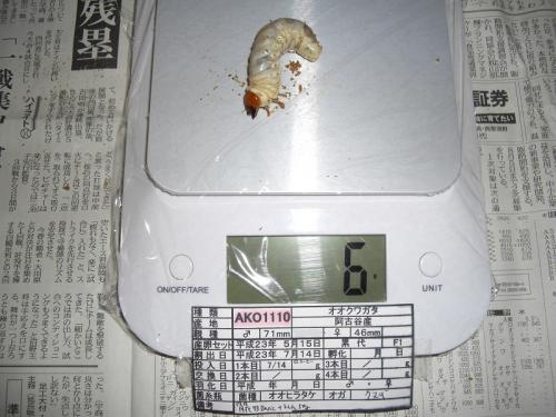 CIMG1548加工済み