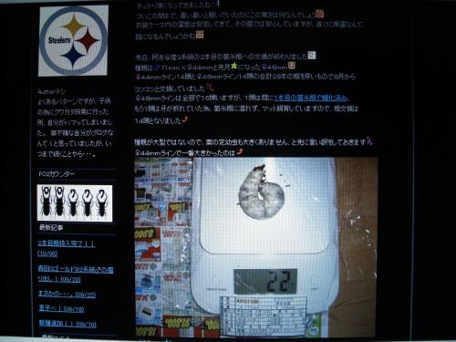 CIMG1611加工済み