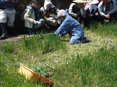 DSCF7488.jpg