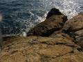 DSC01849.jpg