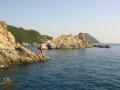 DSC01850.jpg