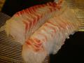 DSC01862.jpg
