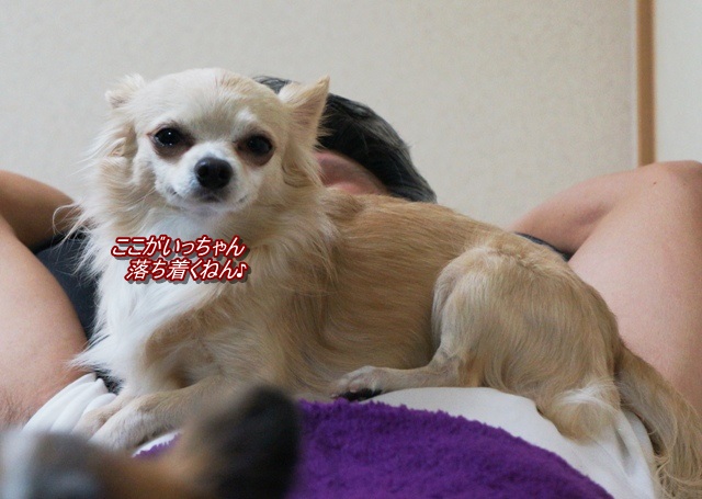 DSC07825.jpg