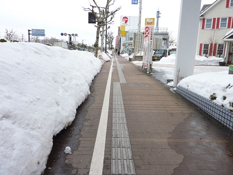雪がなーい♪