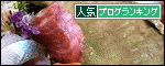 人気ブログランキングへ